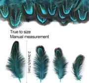 50Pcs Blue Pheasant Feathers 2-3" Plumage Crafts Clothing Sewing Decoration Set