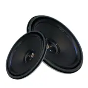 High Sensitivity 3in 5 Watt 2 Ohms Speaker Internal Double Magnet Feature