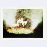 Snow White and the Seven Dwarfs Postcard Witch Disney Vintage 1994 Poison Apple