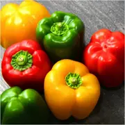 Capsicum - Heirloom Mix seeds