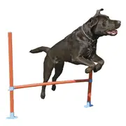 Rosewood Dog 32-82cm Agility Hurdle Pet Bar Training Jump/Fun Exercise Play Toy