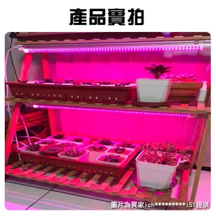 君沛 三入組 植物燈 LED 紅藍混光光譜 T8 4呎 燈管 一體式鋁合金散熱器 植物生長燈 (2.9折)