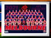 Framed 2021 MELBOURNE DEMONS AFL Premiers Poster - 84cm x 59cm x 3cm Finalist