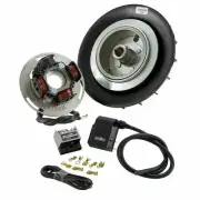 Ignition PINASCO Flytech Piaggio 125 for Vespa Gt Vnl 1961-1973