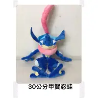 在飛比找蝦皮購物優惠-寶可夢 神奇寶貝 Pokémon 娃娃 玩偶 甲賀忍蛙 30