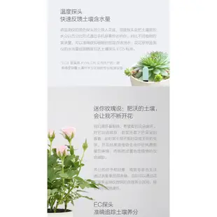 台灣可用國際版  小米花花草草智能檢測儀三代加強版 米家監測植物土壤温度計 現貨