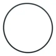 SLS Pump Lid O’ring Davey 43066 400445 Genuine Part