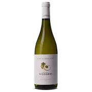 Nicodemi Trebbiano d’Abruzzo Cocciopesto DOC 2018 - Buy Online | The Wine Collective Marketplace