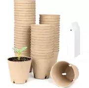 100 Pack 3.15 Inch Seed Starter Pots, Seed Starter Kit, Transplant Seedlings Pot