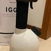 在飛比找蝦皮購物優惠-LAURASTAR IGGI 手持蒸汽掛燙機(白)附原廠除水