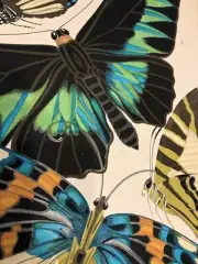 Eugene Séguy : Butterflies Paris Pochoir : 1920s : Archival Quality Art Print