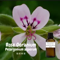 在飛比找蝦皮購物優惠-有機 -100% 玫瑰天竺葵純精油Rose Geranium