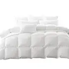 Dreamz 700GSM All Season Goose Down Feather Filling Duvet in Super King Size