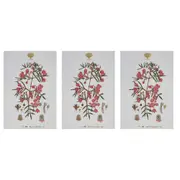 3x Maxwell & Williams Royal Botanic Garden Cotton Tea Towel Dish Cloth Boronia
