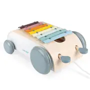 Janod - Cocoon Xylo Roller - Shop Janod Toys at Metro Baby