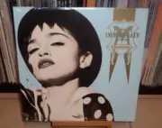 MADONNA THE IMMACULATE COLLECTION LASERDISC NEW EXPRESS YOURSELF LIKE A PRAYER