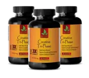 CREATINE Tri-Phase 5000mg - Superior Blend Monohydrate, HCL, Pyruvate -3 Bottles