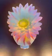 NIB Cactus Night Light from Ibis and Orchid Design