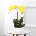 55cm Tall Orchid Potted Artificial Home Decor Fake Plant Indoor Flowers