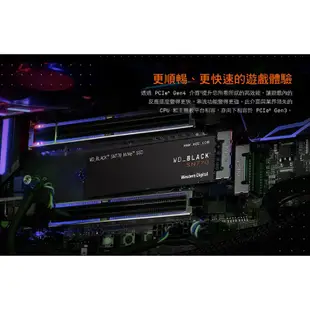 WD 威騰 黑標 SN770 500GB 1TB 2TB PCIe NVMe SSD 固態硬碟