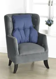 BLUE BACK SUPPORT CUSHION FOR CHAIR | Back Support Pillow | T Shaped Cushion