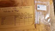NEW Vintage Seiko Ladies Wrist Watch Gold Link Slide Top Clasp band SX # Z5348 K