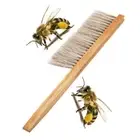 Wood Honey Brush Wasp bee Sweep Two Rows Of Horse Tail Hair Beekeeping*-*