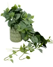 Creative Displays Frosted Ivy Arrangement