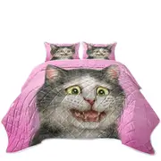 Funny Cats Drawings the Traumatized Kitten Coverlet