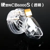 在飛比找蝦皮購物優惠-CB6000 CB6000s CB 貞操鎖 鳥籠 情趣 男用