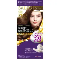 在飛比找蝦皮購物優惠-日本DARIYA SALON de PRO 塔莉雅沙龍級專業