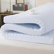 [WhatsBedding] 3 Inch Queen Memory Foam Mattress Topper with Soft Cover for Pressure Relief, Memory Foam Bed Topper with Removable & Washable Cover Rayon from Bamboo for Back Pain(80x60x3in)