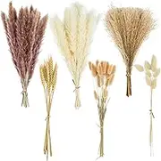 CRFNI 100 Pcs Pampas Grass - Natural Pampas & Reed Grass & Bunny Tails & Dried Wheat for Dried Flowers Arrangements Boho Wedding Home Decor