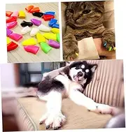 20 Pcs Cat Claw Covers Black for Cats Comfortable Easy to Use Furniture from Scratching Fashionable Design for Pet Grooming