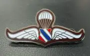 Thailand Paratrooper Wings Pin Badge