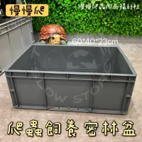 在飛比找蝦皮購物優惠-慢慢爬蟲用品福利社 爬蟲飼養密林盆 密林盆 整理箱 養殖箱 