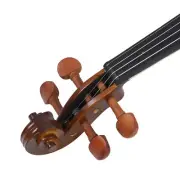Professional Violin Kit Wooden Handcrafted Violin Full 4/4 Set For Beginners CHU