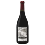 2020 Radio Coteau Sonoma Coast Belay Savoy Pinot Noir - Buy Online | The Wine Collective Marketplace