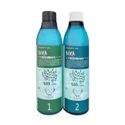 BIKA MOISTURE (H4O) PERM (Made in Korea) 10.1oz (CHOOSE YOURS)