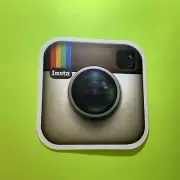 Polaroid Vintage Insta Camera Matte Sticker Decal Skate Surf Laptop Hydroflask