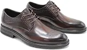 ZJSCNBE Men's Leather Men's Shoes Business Formal Wear Men's Leather Shoes High-end Top Layer Cowhide Brogue Carved Derby Shoes(Brown,41)