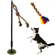 Outdoor Interactive Dog Toys,Tether Tug Outdoor Dog Toy Exercise Equipment in...