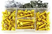 Connector Complete Full Fairing Bolts Kit for K1200GT K1200LT K1200RS/S K1300S/R K1600GT/GTL K1600B F800GT/GSA F700GS(Gold)