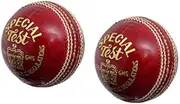 Special Test Red 4 PCE Ball Senior Leather Hand Stitch Grade A Pack of 2 Balls