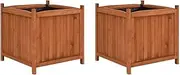Raised Garden Bed Set of 2, Elevated Planter Box Plant Container 2 pcs 50x50x50 cm Firwood