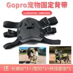 適用GOPRO12狗背帶GOPRO8/7/6運動相機背帶10/11大疆靈眸寵物背帶狗視角拍攝VLOG錄像固定胸帶配件拍照