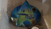 Star Trek Plate: Starships of the Next Generation Hamilton Collection TNG