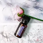 *美好生活* <代購美商現貨>舒壓複方精油15ML  DOTERRA