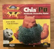 NEW Chia Po Pet Kung Fu Panda Dreamworks Handmade Decorative Planter 2011 Joseph