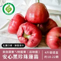 在飛比找PChome24h購物優惠-【美夢成真GCIshop】履歷屏東黑珍珠蓮霧-特選4斤裝(優